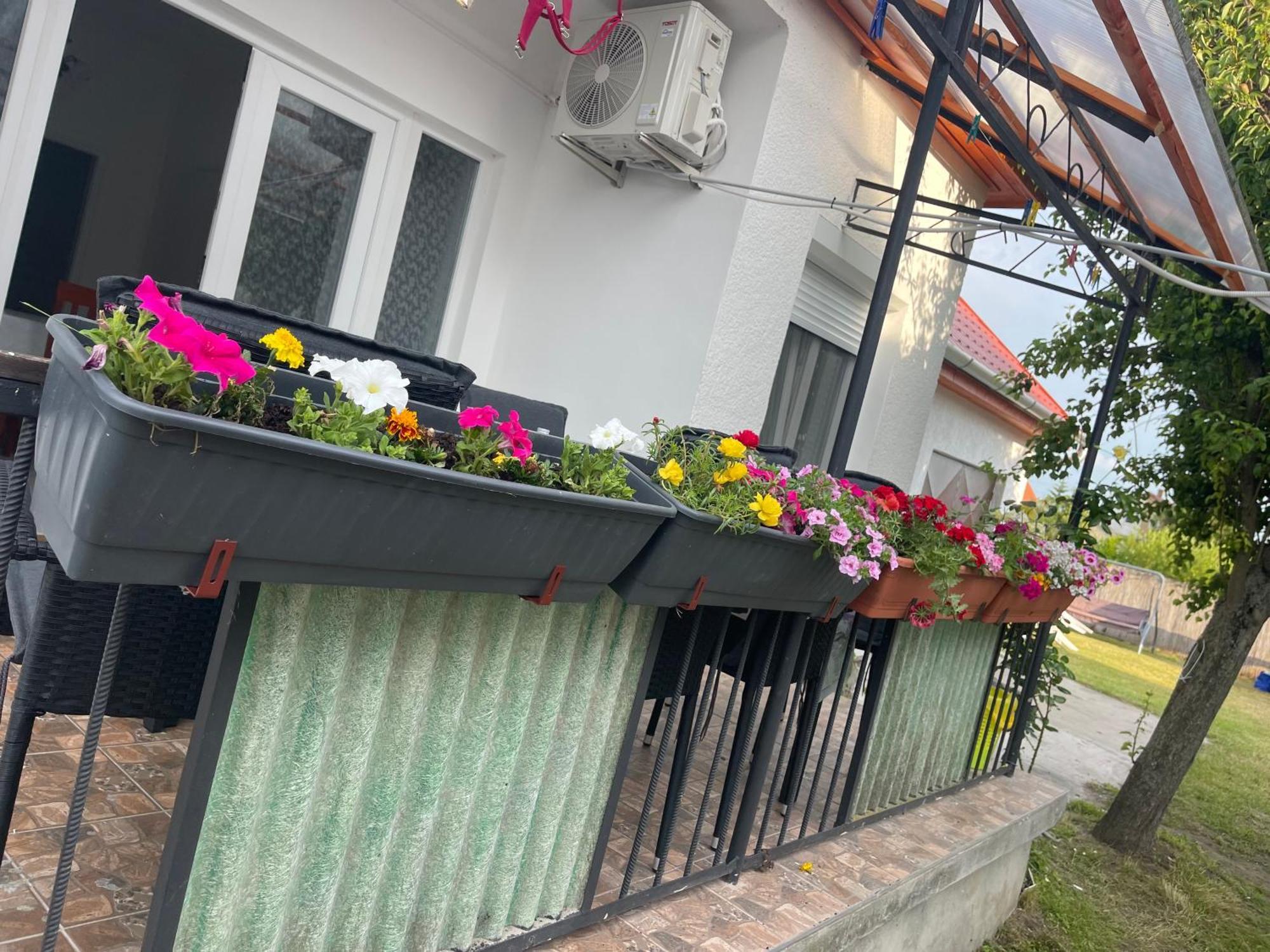 Valentina Apartman บาลาตอนมารีอาเฟือร์เดอ ภายนอก รูปภาพ